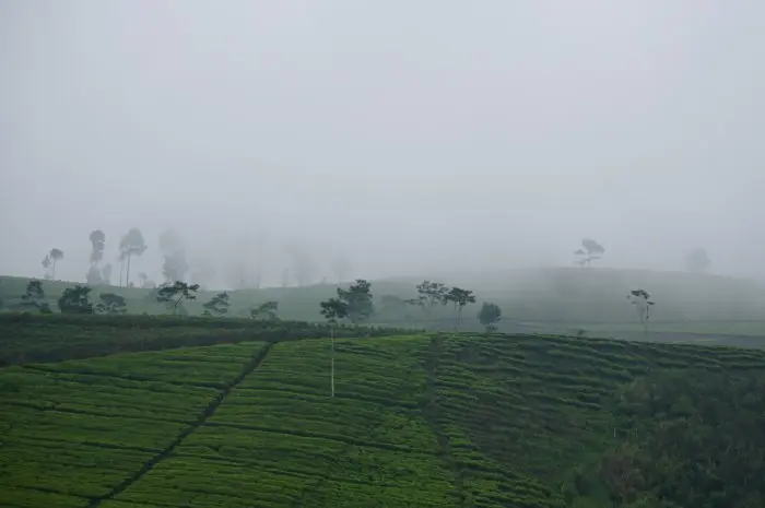 14 Destinasi Wisata di Sekitar Kaki Gunung Slamet