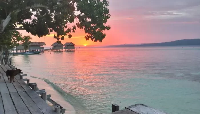Temukan 10 Hotel Murah di Raja Ampat untuk Liburan Terbaik Anda