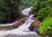 Air Terjun Curup Tujuh, Pesona Alam Tersembunyi di Lampung Tengah