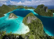Pulau Waigeo, Wisata Bahari dengan Terumbu Karang yang Indah di Raja Ampat