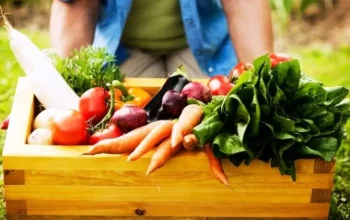 Mitos vs Fakta: Benarkah Makanan Organik Selalu Lebih Sehat?