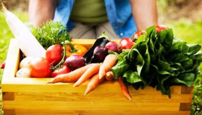 Mitos vs Fakta: Benarkah Makanan Organik Selalu Lebih Sehat?