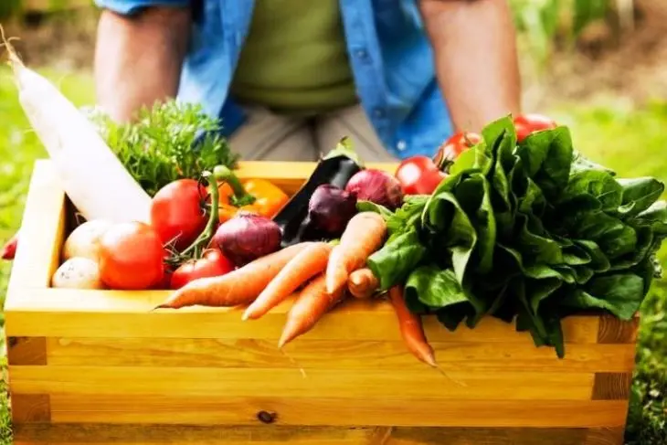 Mitos vs Fakta: Benarkah Makanan Organik Selalu Lebih Sehat?