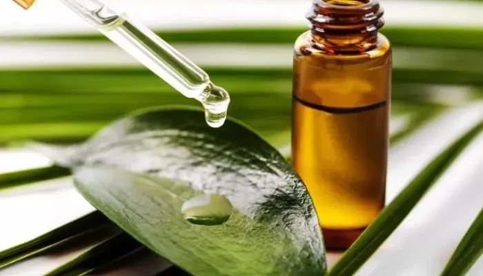 Bikin Sendiri! Resep Masker Komedo dengan Tea Tree Oil untuk Kulit Berjerawat